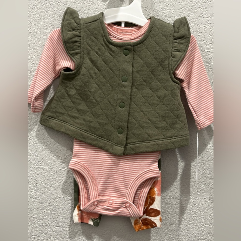 Olive Quilted Vest and Pink Striped  Floral Onesie Set - Newborn Outfit